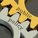 Government role, policy, policies
