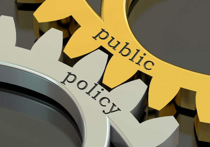 Government role, policy, policies